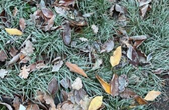 How you can Beat the Winter Blues… — Estée Lalonde