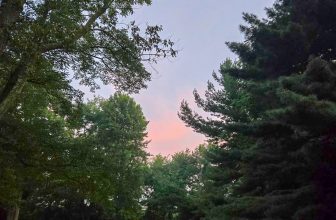 The Little Things Newsletter #484 – Life, laughter, and lots of great food!