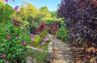 The Little Things Newsletter #486 – Life, laughter, and lots of great food!