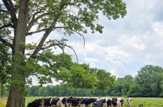 The Little Things Newsletter #482 – Life, laughter, and lots of great food!