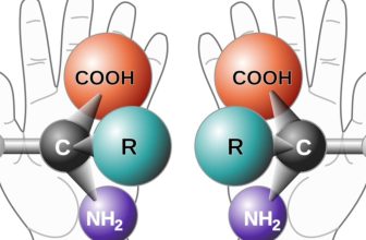 Scientists Gather to Confront the Doomsday Risks of ‘Mirror Life’