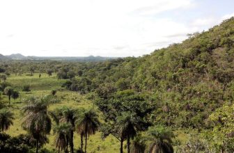 New Bacteria Discovered in Flies Could Sicken Humans