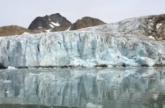 The Ocean Is a Carbon Toilet. Marine Heat Waves Are Clogging It.