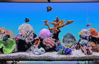 You don’t need a new Roku; you need to clear the cache