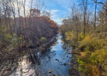 The Little Things Newsletter #497 – Life, laughter, and lots of great food!