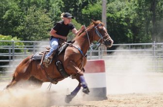 A Nasty Brain Illness Is Spreading Quickly Among Horses in the U.S. Here’s What You Need to Know