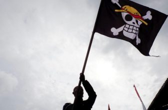 What the One Piece Flag Is Doing in Mexico During Protests
