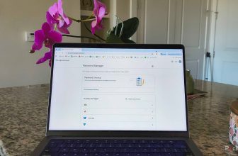 This is why I’m careful about saving passwords in my web browser