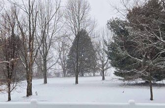 The Little Things Newsletter #499 – Life, laughter, and lots of great food!