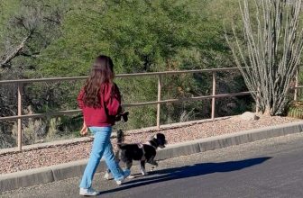 Low-Effort Wellness Habits That Actually Make a Difference