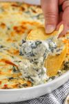 12 Best Party Appetizer Dips